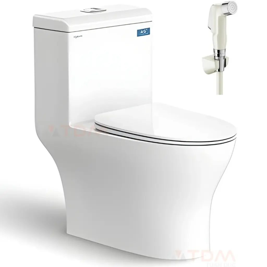 Bồn cầu Viglacera V45